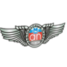 Pskov Bus Terminal logo